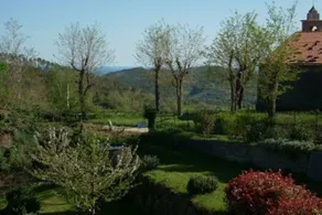 Trilocale nel bosco, non lontano dal mare - Image 5