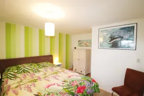 Holiday Home in Donkerbroek near Forest Trails - Image 5