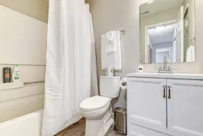 Lavish HUGE Noblesville and Carmel adjacent family home - Image 4
