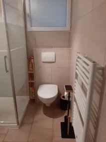 FREE CANCELLATION<br> AFa Corsica Air-conditioned villa with heated pool - Image 2