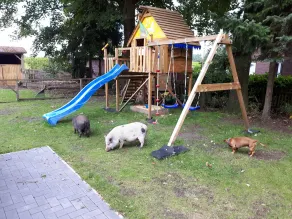 Ferie i Elbe Weser-trekanten på et Resthof nær Nordsøen - Image 3