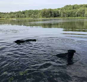 Maine Hidden Gem - Image 2