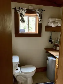 Tiny Cabin, pet-friendly Mins from Cook Forest & Allegheny National Forest! - Image 5