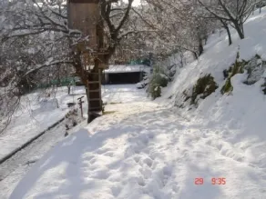 Self catering Finca rústica for 7 people - Image 4