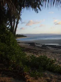 Bright, clean, airy Rocky Point Beach 1 bedroom loft. Steps to beach & bike path - Image 5