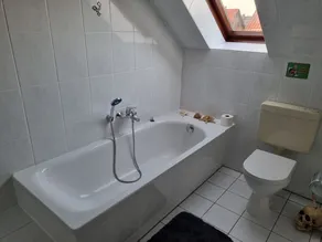 Elegant Vacation Rental on the Outskirts of Dresden   - Image 3