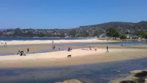 Rivermouth sulla spiaggia di Kingston - Image 5