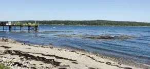 Ocean view tranquil cape  - Image 4