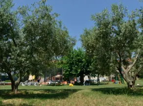 Authentic Istrian Holiday Home for Unforgettable Stays - Image 2