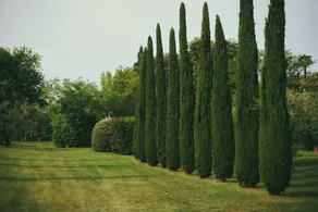 Villa Niccolai: Charming Tuscan Villa with Luxury Private Pool & Shading Park - Image 4