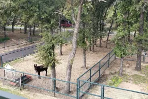 Private Retreat with Pond, Pool and Hot Tub - Image 4
