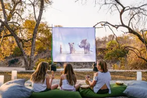 Thornybush Game Lodge - Image 3
