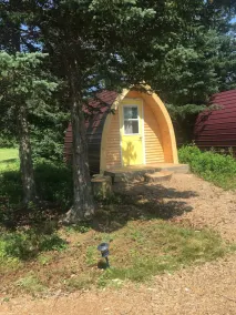 White Birch Camping Pod - Image 5