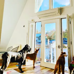 Four Seasons of FUN! Shop, Hike, Golf, Ski, Ride, Relax and bring the Pups too! - Image 3