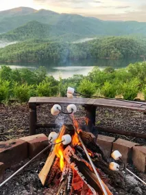 Lakefront 3-bedroom cabin on Fontana Lake with stunning views and a private dock - Image 2