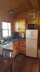 American Pines Cabin, 5 Miles from Mt. Rushmore! - Image 5