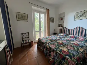 Olive house - Image 4