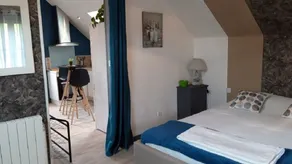 GITE 3* SWIMMING POOL SPA BEAUVAL CHATEAUX FUTUROSCOPE air-conditioned - Image 4