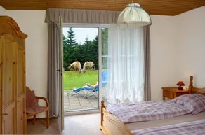 Equitação, sauna e relaxamento - os melhores dias do ano - Image 3