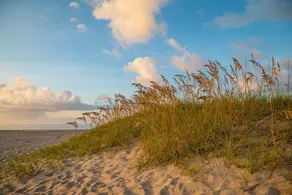 Holen Sie sich Sandy in Rodanthe! Meerblick mit einfachem Zugang zum Strand, Pool, Whirlpool, Spielzimmer - Image 4