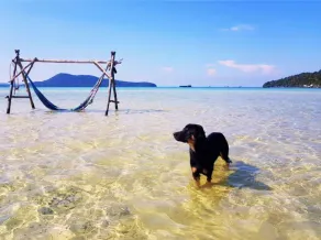 Dolphin Bay resort - Image 2
