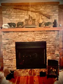 BearPaw Cabin- Charming and cozy cabin in the woods- WiFi-Pet Friendly-Secluded - Image 3