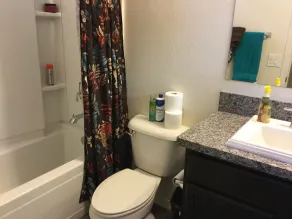 Child, Handicapable, Senior friendly Newer 4 bedroom - Image 3