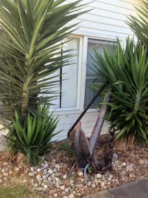 Ruby's Queenscliff - Image 3