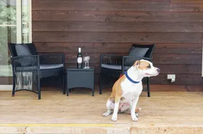 PET FRIENDLY COTTAGES - KELPIE COTTAGE - SELBSTHALTIGE COTTAGES - Image 5
