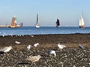 Halmtak 400m v strand, strandstol, WiFi, 2 cyklar, insektsmedel, öppen spis - Image 5