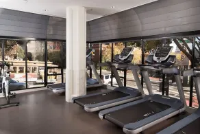 You Found it! San Francisco Getaway! 2 Spacious Units, Cycling, Pets Allowed! - Image 4