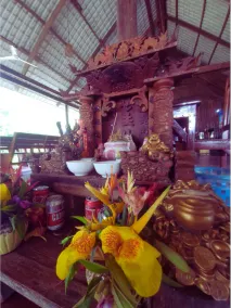 Dolphin Bay resort - Image 5