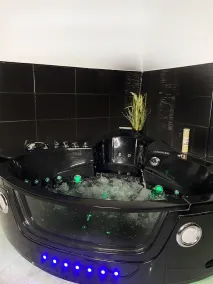 Superb accommodation 180m2 jacuzzi / giant screen 110m2 of garden near the airport - Image 4
