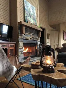 Beardsicle Bluff Cabin - Image 3