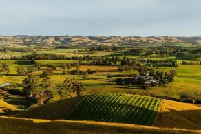Belrose Estate by Tiny Away - Image 4