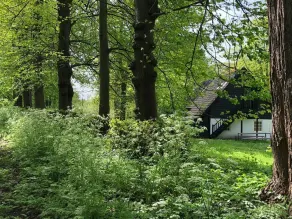 Unieke Studio Gelegen in de Kasteeltuin van Landgoed Het Witte Kasteel - Image 5