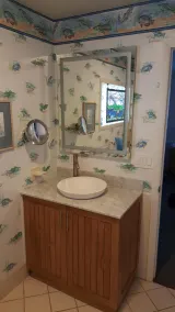 Tahiti Style 5 STAR OVER-WATER BUNGALOW + Lake House Blue + YouTube Video's PETS - Image 3