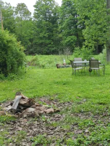 Escape to Serenity: Off-Grid Cabin on Spring-Fed Pond, Your Private Sanctuary. - Image 5