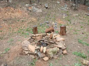 Get Away in your Truck or SUV to the Scenic and Secluded Whispering Pines Cabin - Image 4