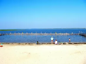 Part Of A Duplex 1-Block To Ocean+Bay Beaches, 2 Bedrooms, 1 Bathroom - Image 5
