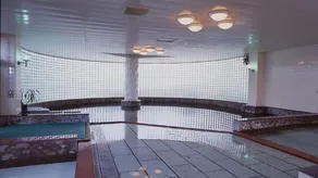 Nasunogahara Onsen Hotel Aoki - Image 2
