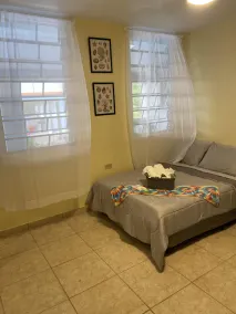 Cozy home in the mountains near El Yunque, 20 min drive to the beach - Image 5