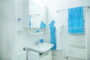 Ferienwohnung Alpenschwänchen - Image 5