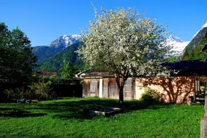 Apartment in a quiet but very central location, pets, 5min. swimming pool - Image 4