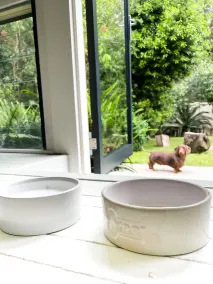 Perfect Pet Friendly South Coast Beach Getaway - Image 2