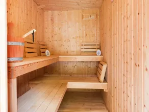Luxury holiday home with sauna in Vlagtwedde - Image 2