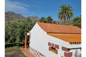 Country house among palm and olive trees. - Image 2