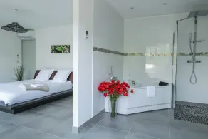 Villa architetto, 12x7 piscina a sfioro, nei pressi di Avignone, Orange, 14 pers. - Image 3