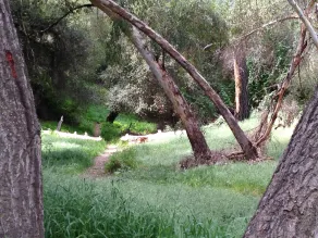 Spacious Studio Nestled in Nature - Image 3