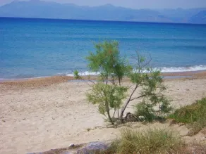 Front beach holiday house - Image 3